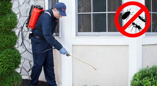 Marmaris Kemirgen İlaçlama böcek ilaçlama ve haşere kontrolü — ilaclama-tr.com